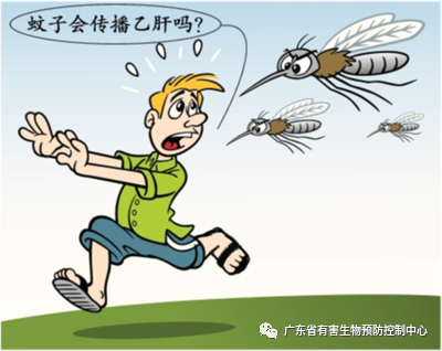 【蟲害】今年蚊蟲特多，該怎么防治？